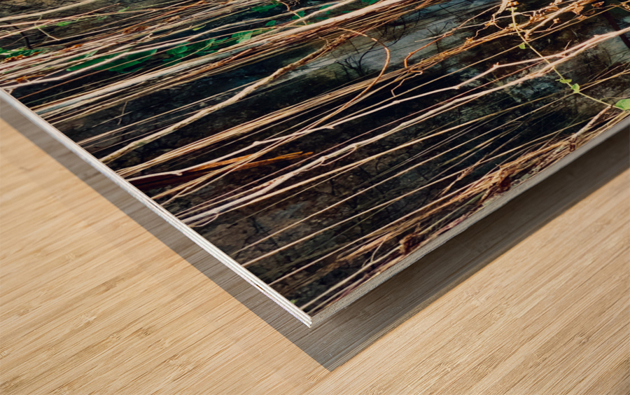 Find the Entrance Wood print