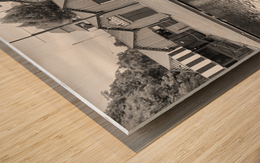 BW Gondola on the River Wood print