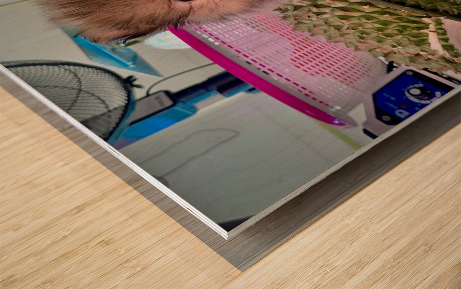 Furry Puppy Wood print