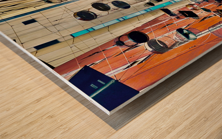 All the Cages Wood print