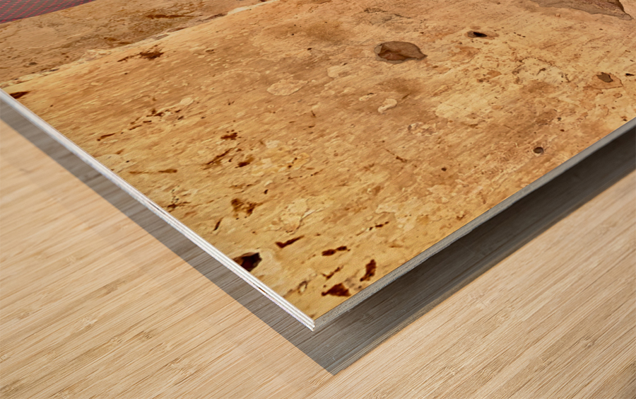 Myanmar Boy with Sling Shot Wood print