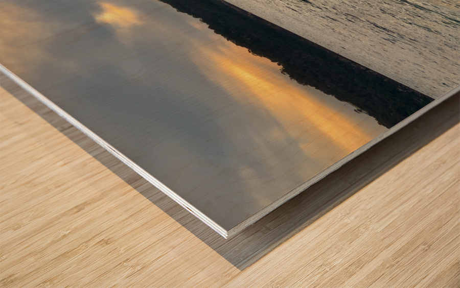 Little Shack on the Water Wood print