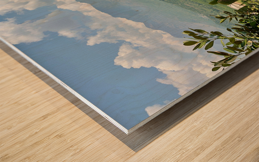 Pari Mahal Srinagar 2 Wood print