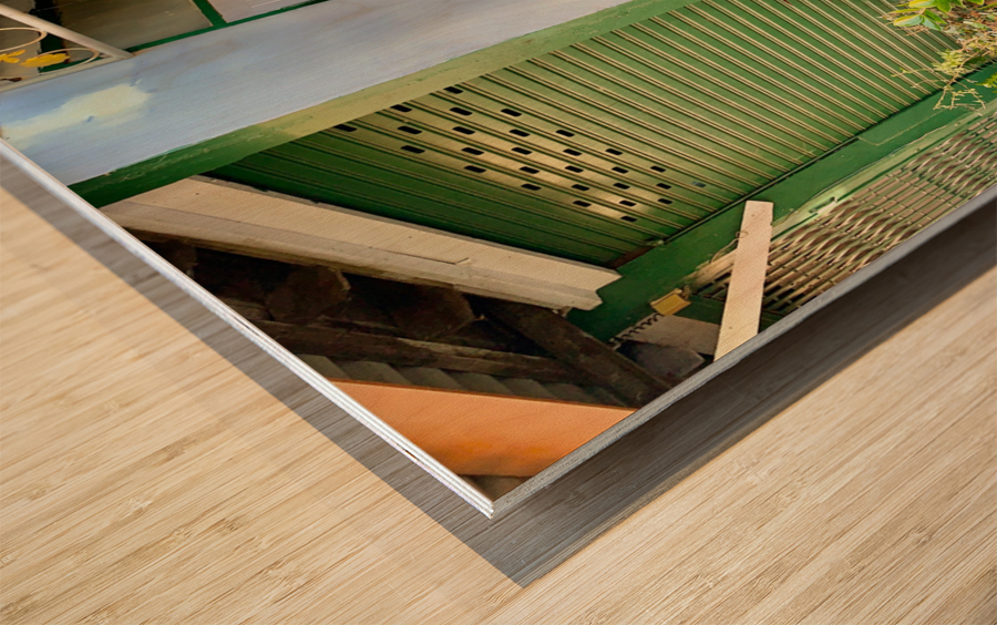 Plants on the Corner Wood print