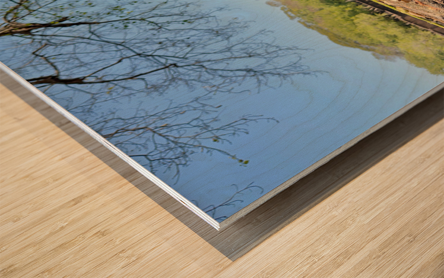 Nature Behind the Wall Wood print