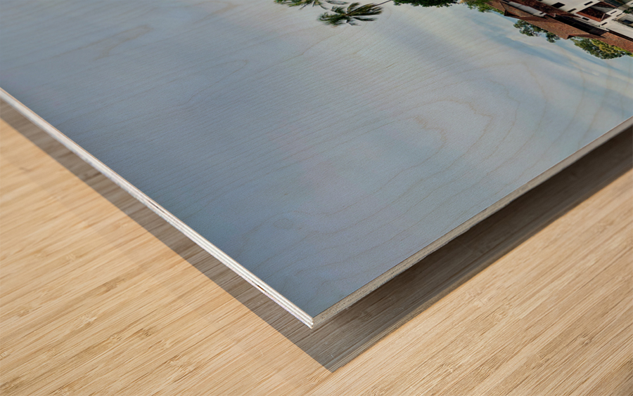 Reflections in Front of Sree Padmanabhaswamy Temple Wood print