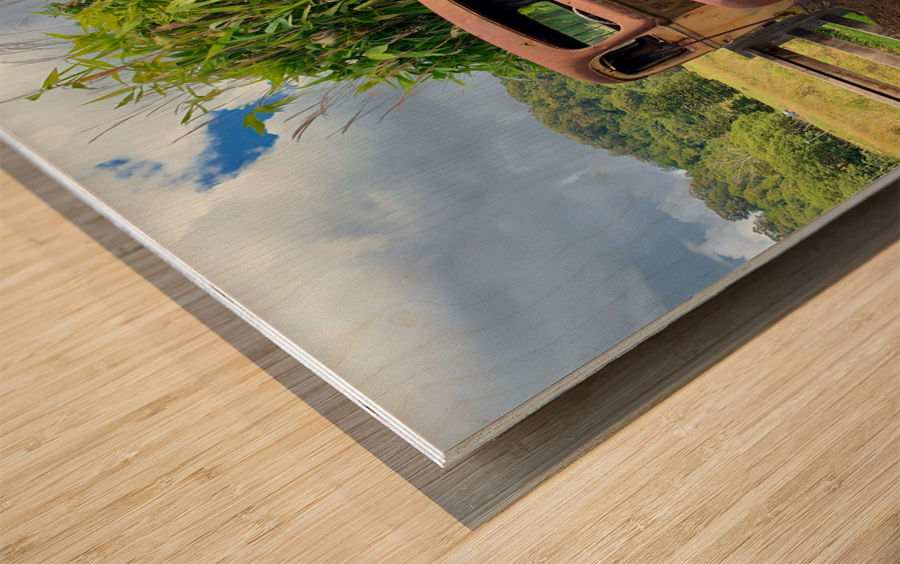 Old Truck Frame Wood print