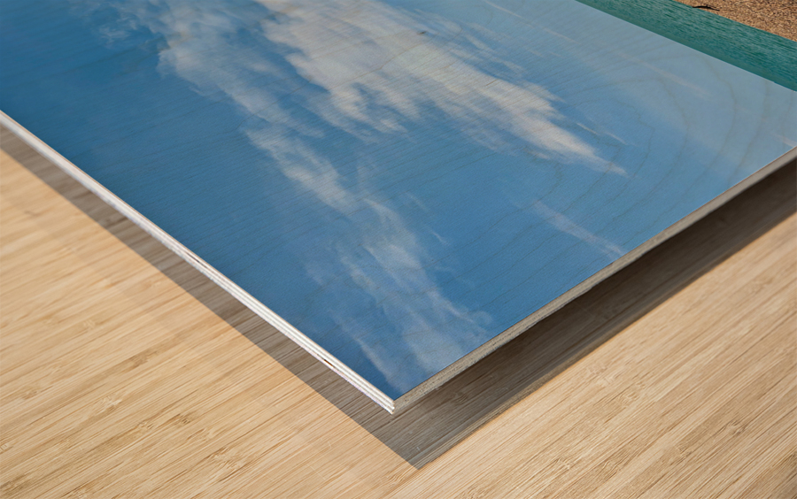 Nice Color Beach Wood print