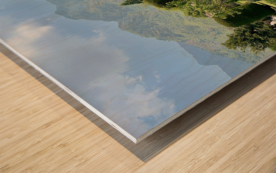 Pari Mahal Srinagar 3 Wood print