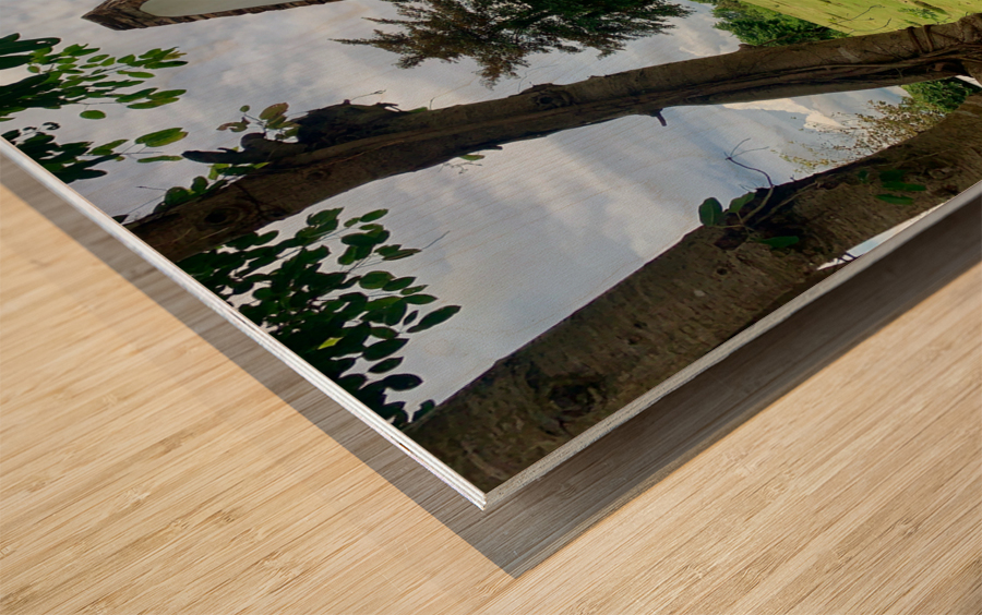 Triangle Shaped Coffee Museum 2 Wood print