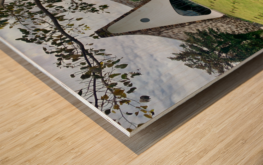 Triangle Shaped Coffee Museum Wood print