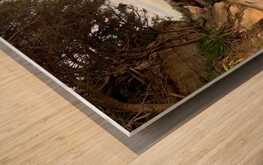 Sideway Rock on the Beach Wood print