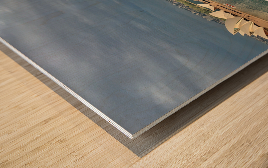 Sydney Harbour Wood print