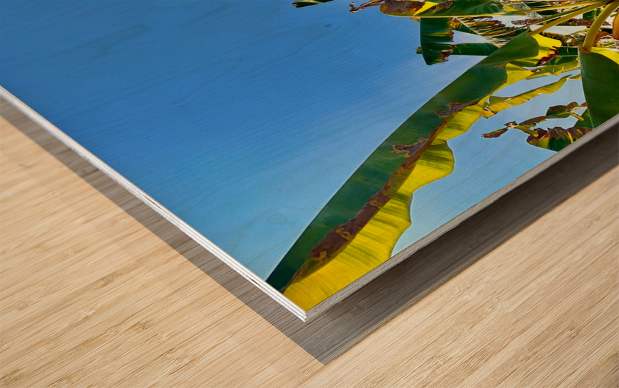 Tower in the Field Wood print