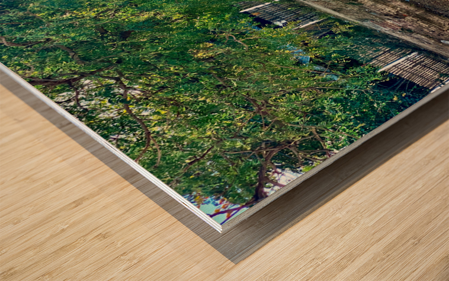 The Little Girl and the Tree Wood print