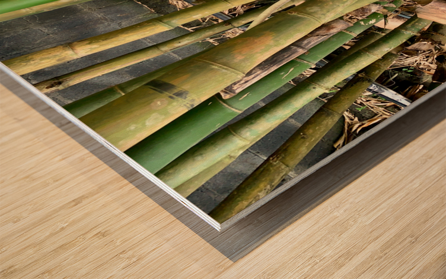 Thinking Wooden Sculpture Impression sur bois