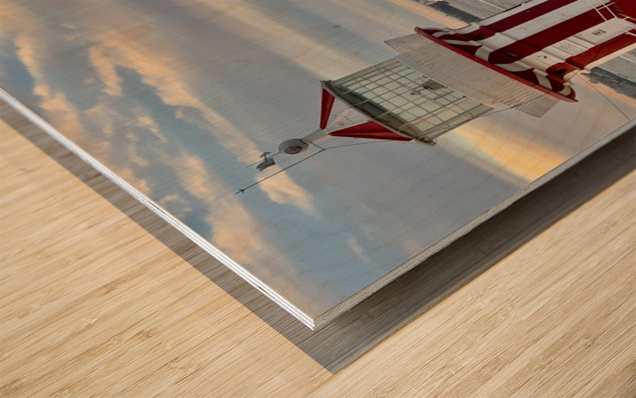 The Cruise Wood print