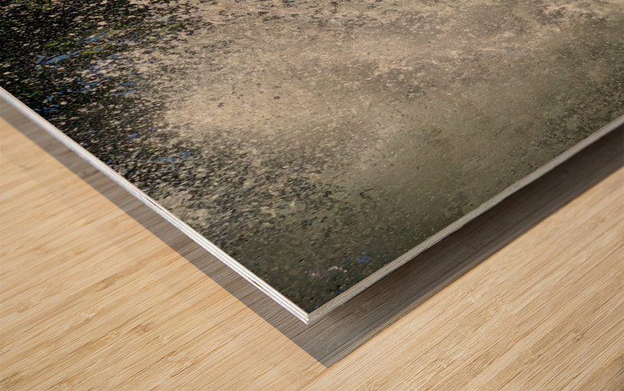 Water Splash Wood print