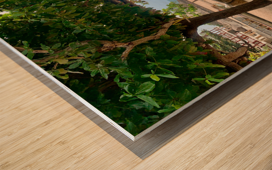 Tree on the Beach Wood print