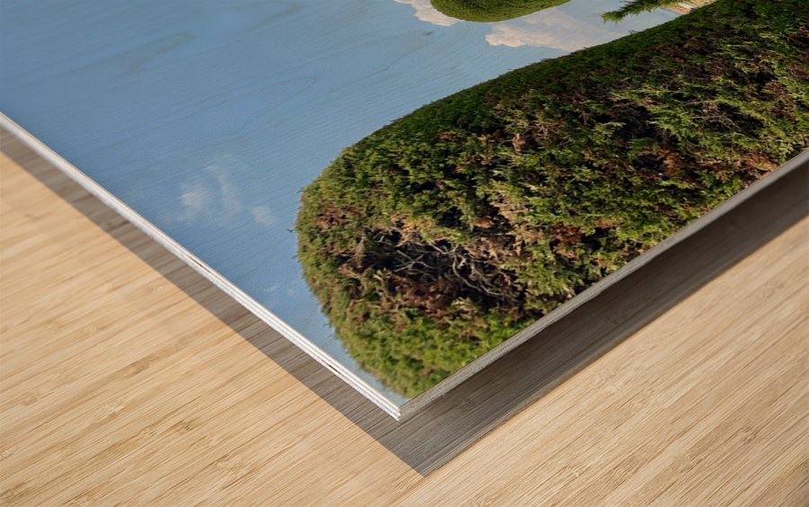 View from Pari Mahal Srinagar 2 Wood print