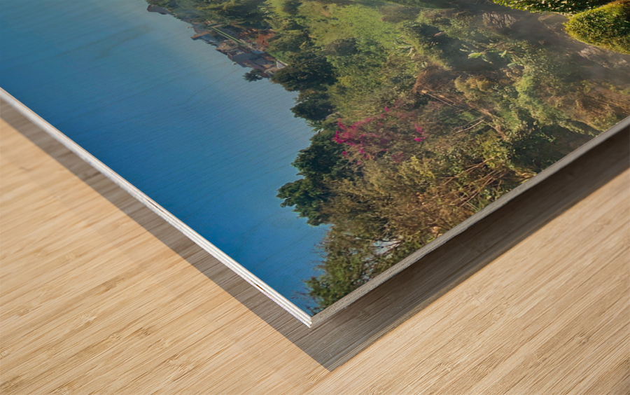 Around Elephant Waterfalls Wood print