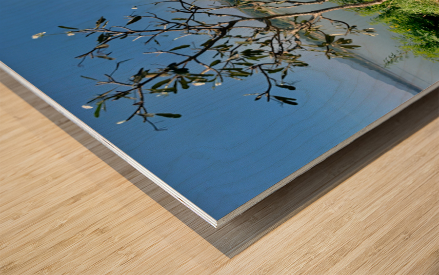 Fan by the Mekong River Wood print