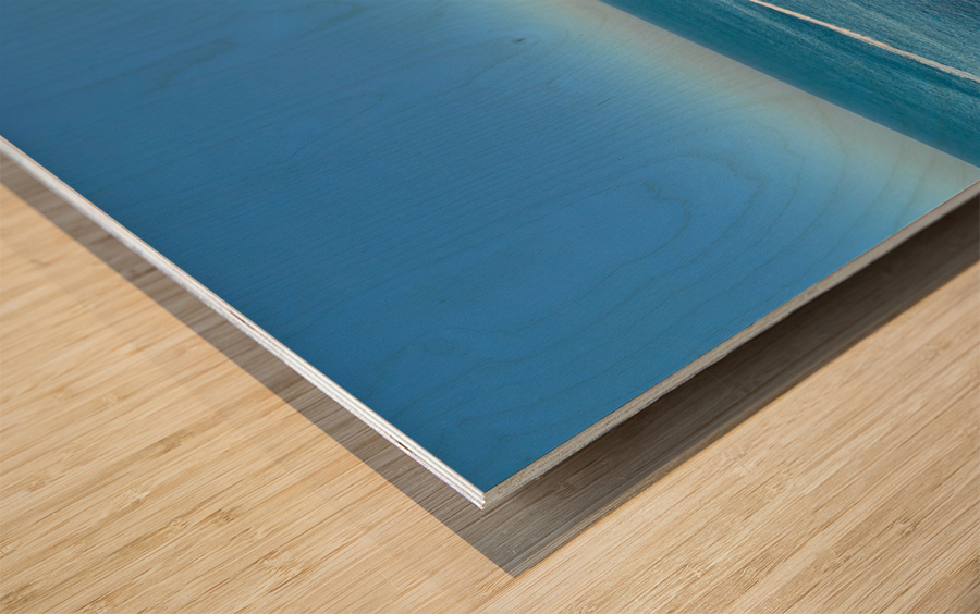 Beautiful Ocean Wood print