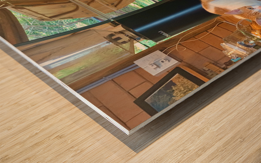 A Cat Named Cappucino Wood print