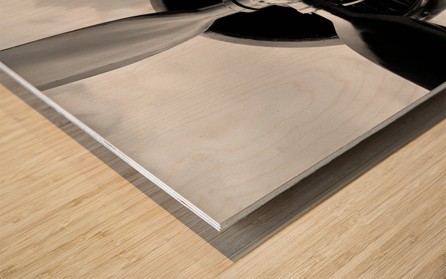 BW Propellers Wood print