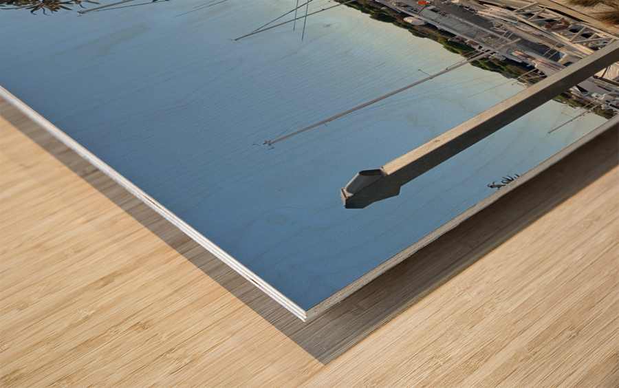 Boats at the Marina Wood print