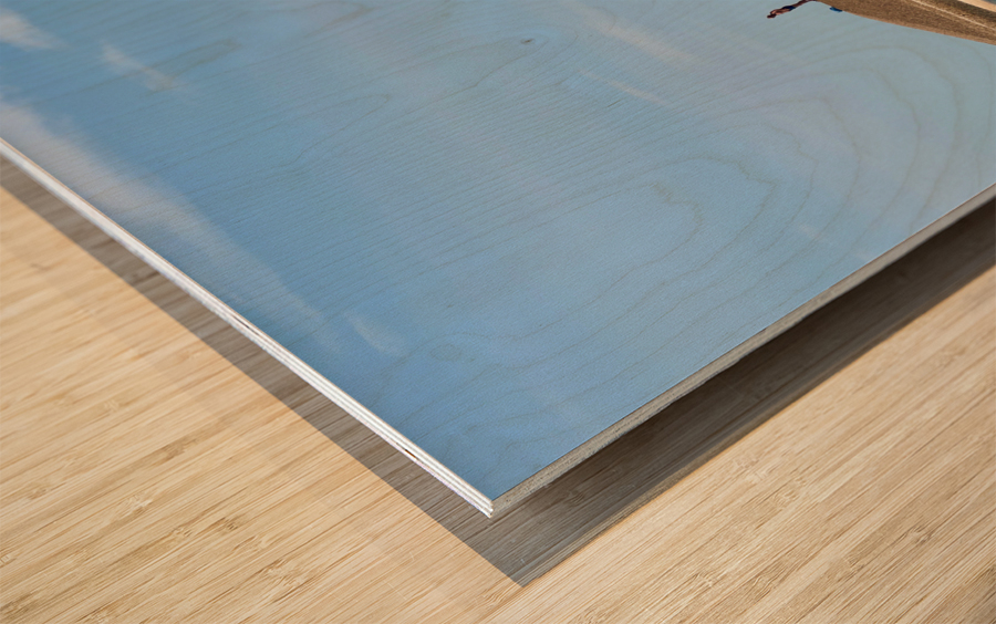 Alone at the End Wood print