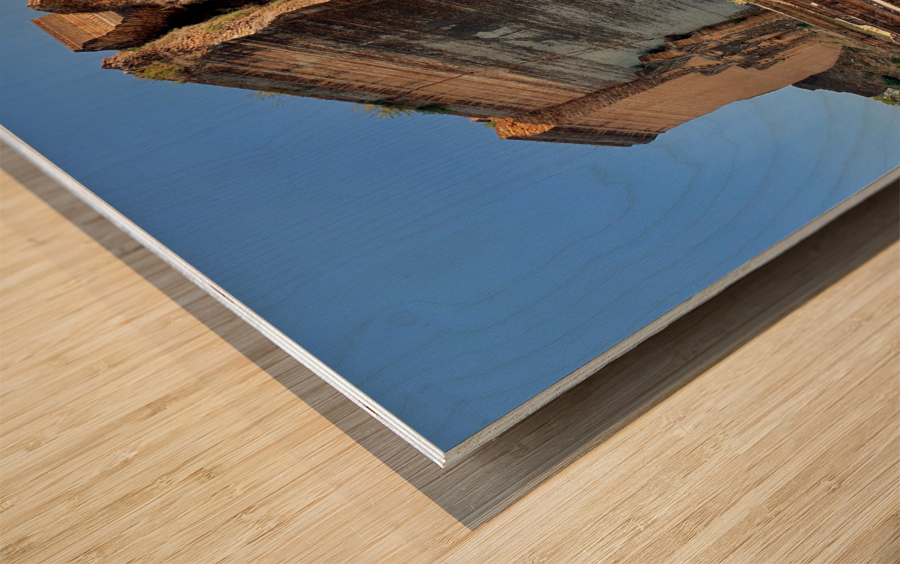 Mingun Pahtodawgyi 2 Wood print