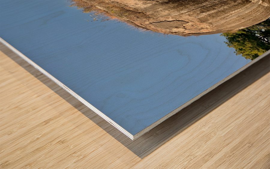 Mingun Pahtodawgyi Elephant Rock Impression sur bois