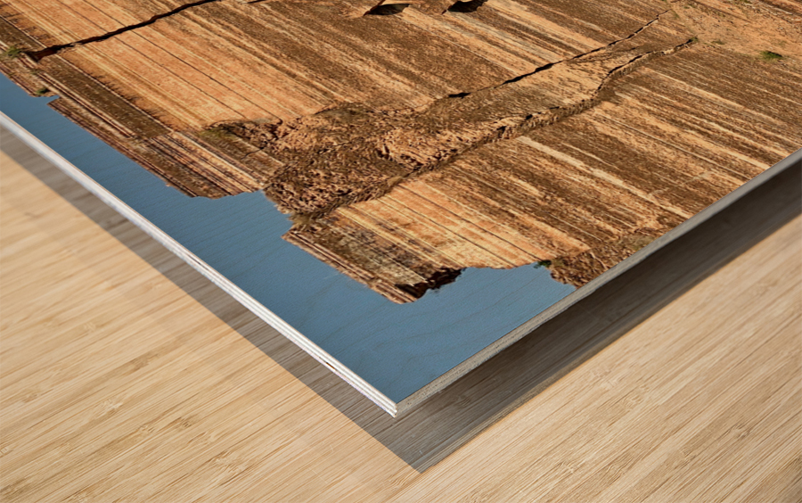 Mingun Pahtodawgyi 1 Wood print