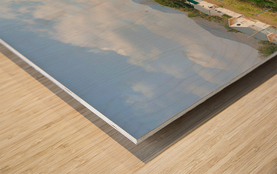 Last Straw Hut Standing Wood print