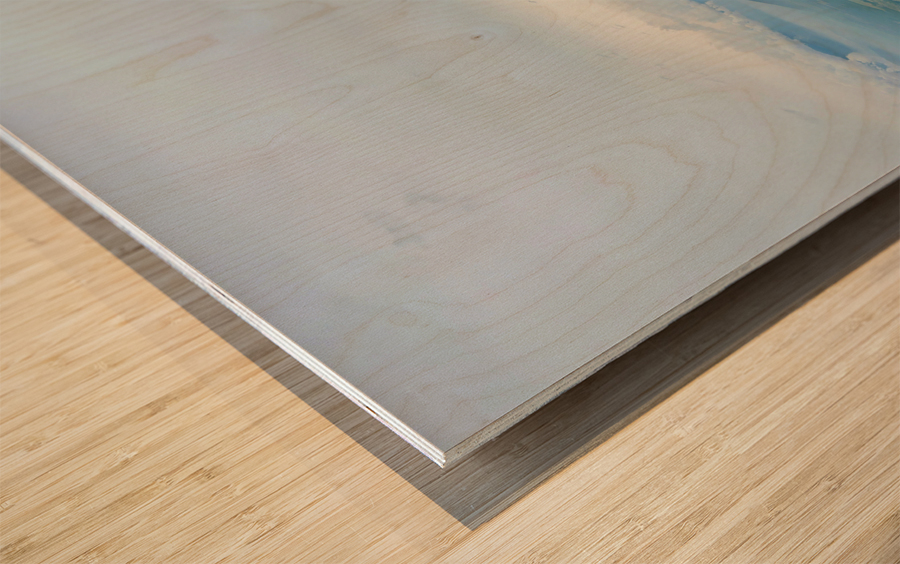 Mountain of Kashmir Wood print