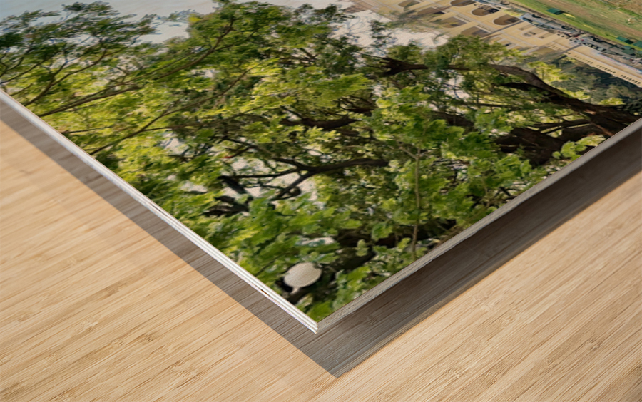 Mysore Palace 2 Wood print