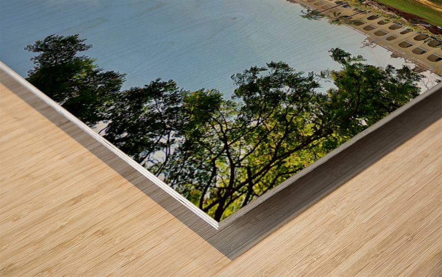 Mysore Palace Wood print