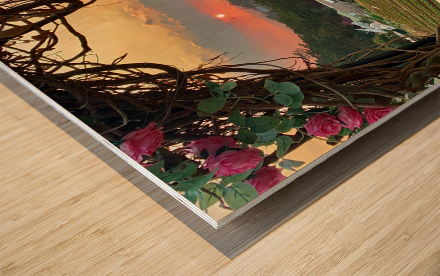 Ring of Roses for Sunset Wood print