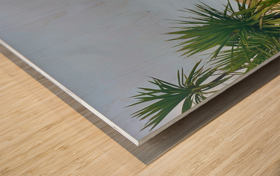 Sand Dunes Ahead Wood print