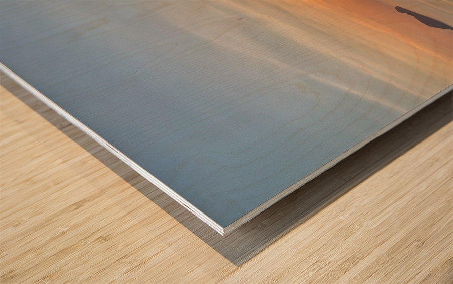 Sunlit White Big Lamp Impression sur bois