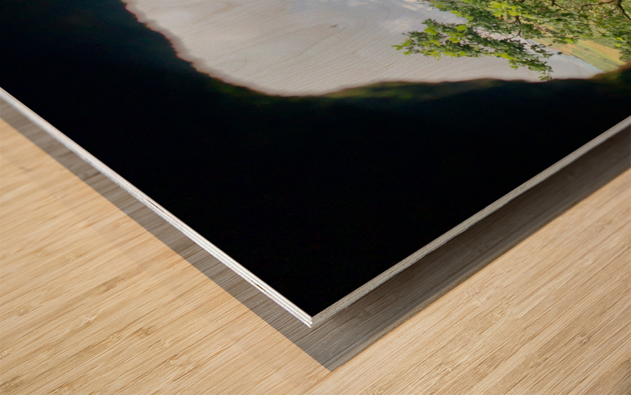 Nature Through the Hole Wood print