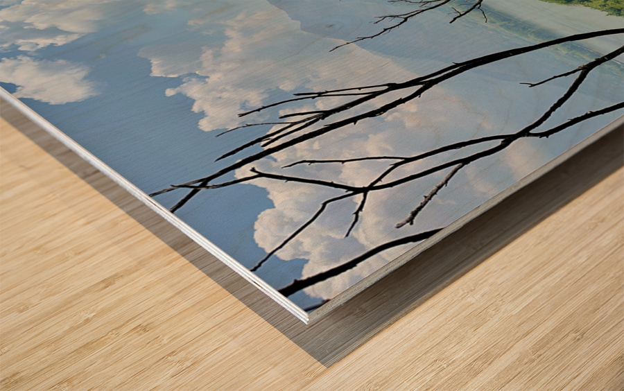 Mountains Behind the Branches Wood print