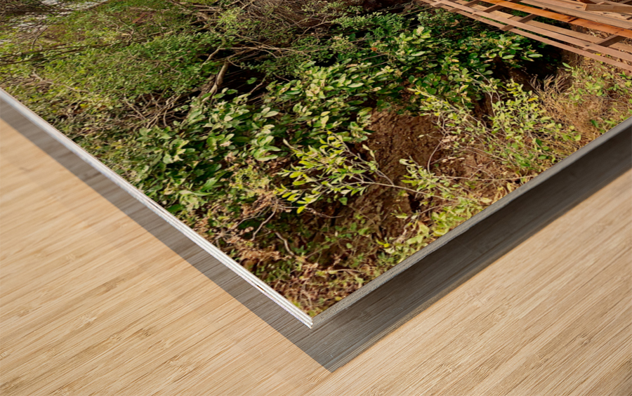 The Amazing Wat Phu Tok 3 Wood print