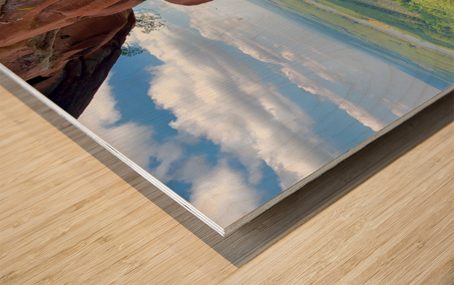 The Amazing Wat Phu Tok 5 Wood print