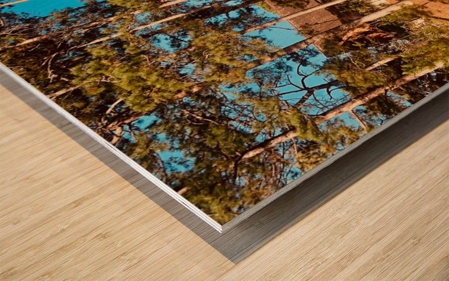 You Forgot Your Car Wood print