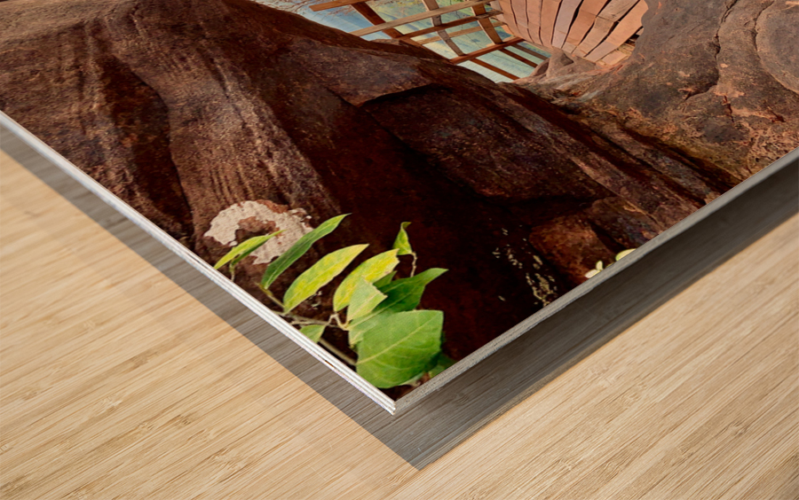 The Amazing Wat Phu Tok 1 Wood print