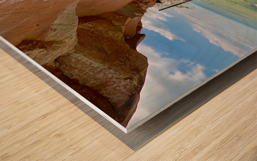 The Amazing Wat Phu Tok 6 Wood print