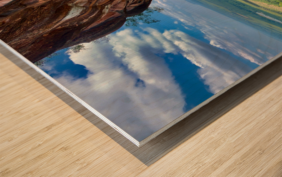 The Amazing Wat Phu Tok 4 Wood print