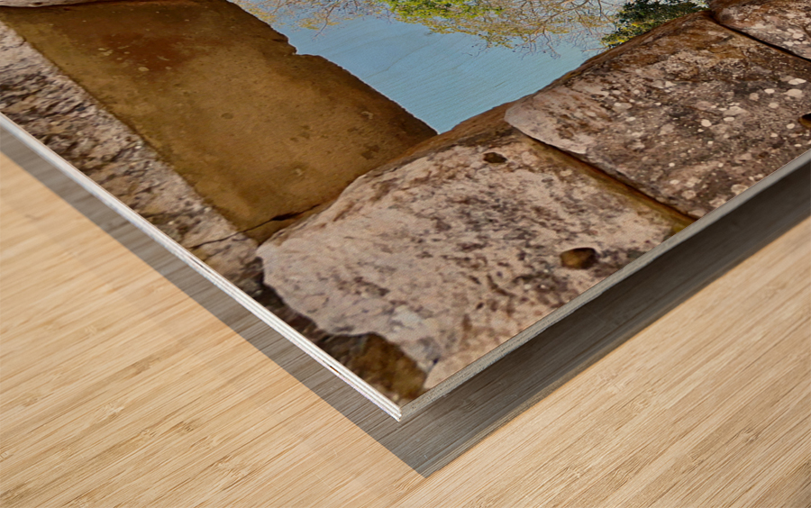 There is a Tree Outside Wood print